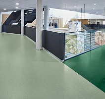 Forbo Sphera Energetic 51245 vivid thyme фото 2 | FLOORDEALER